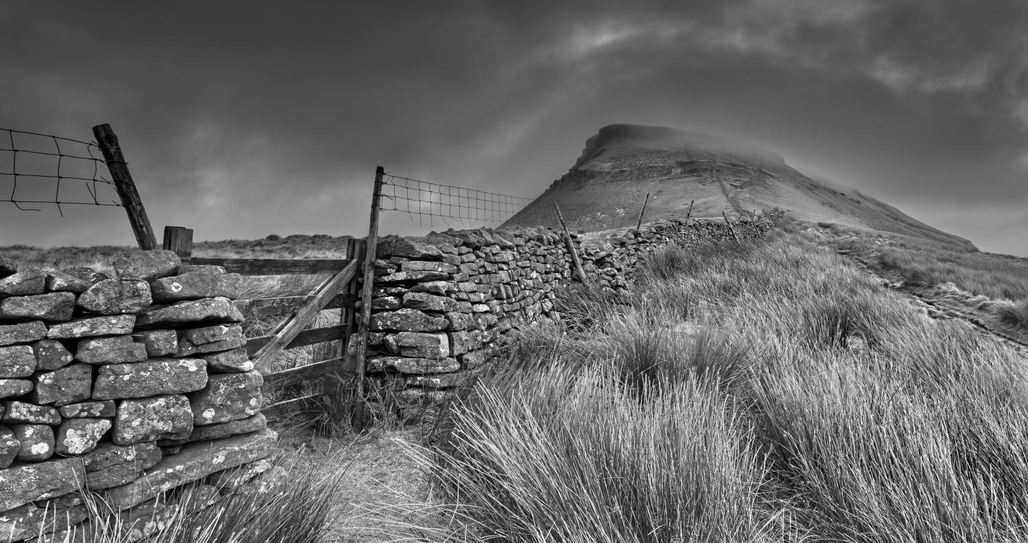 161A8216-Edit
