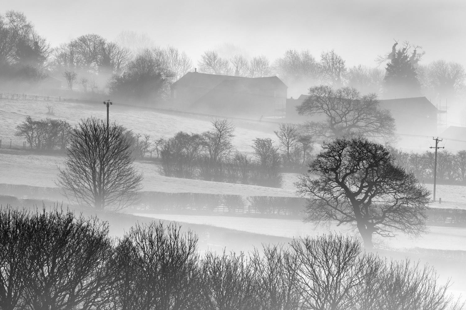 161A8775-Edit