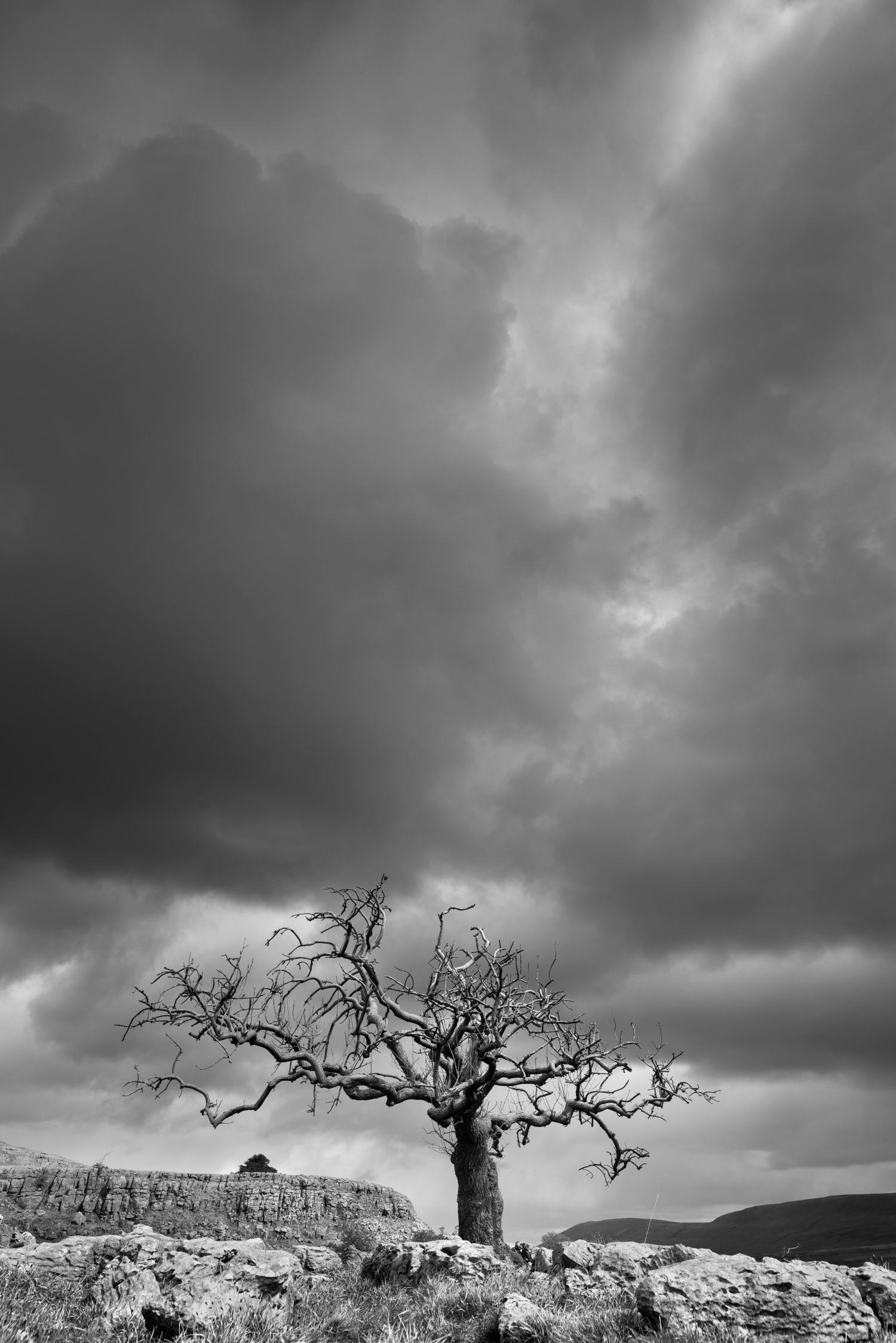 161A9720-Edit