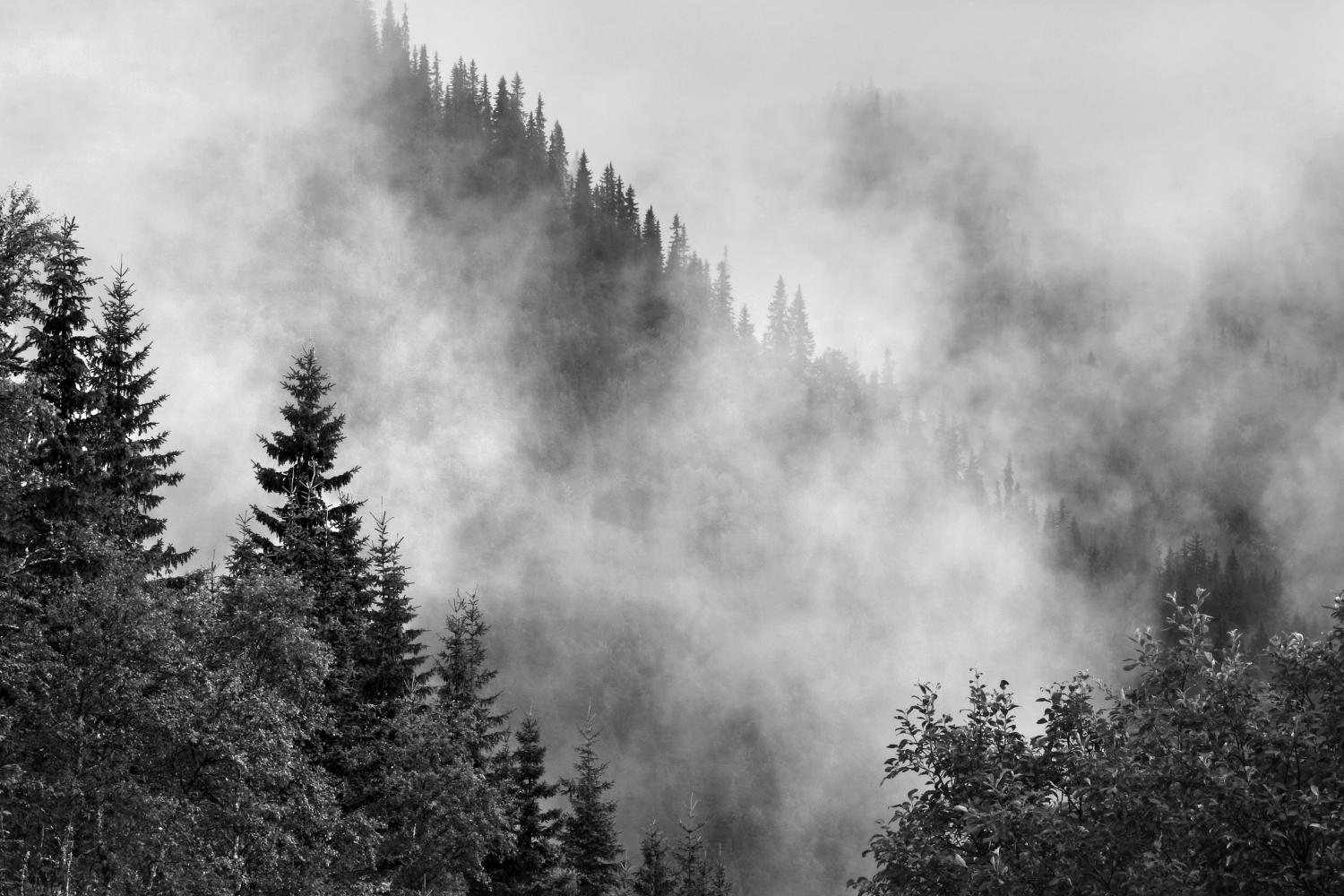 IMG_0080c