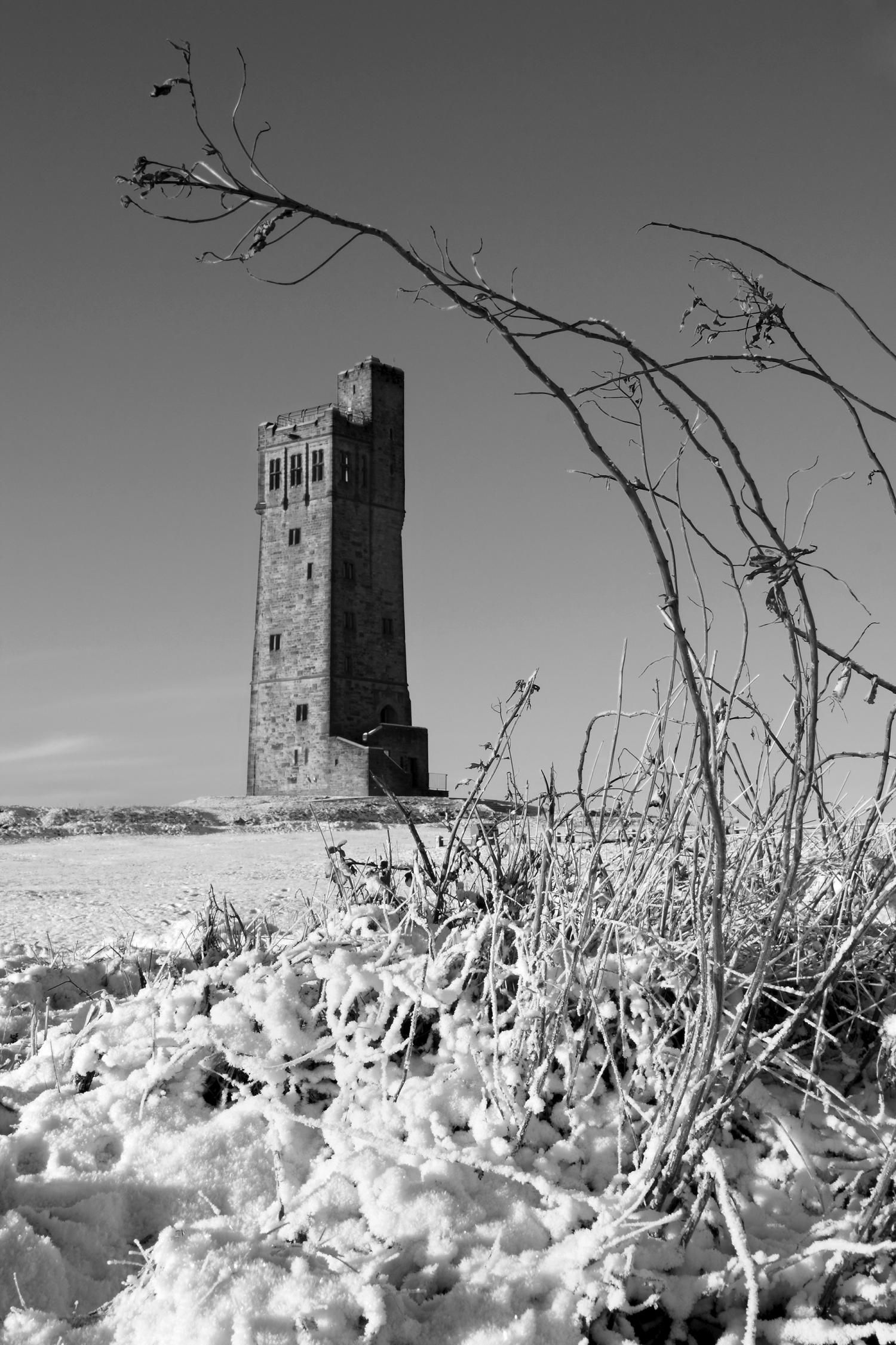 IMG_6626bw