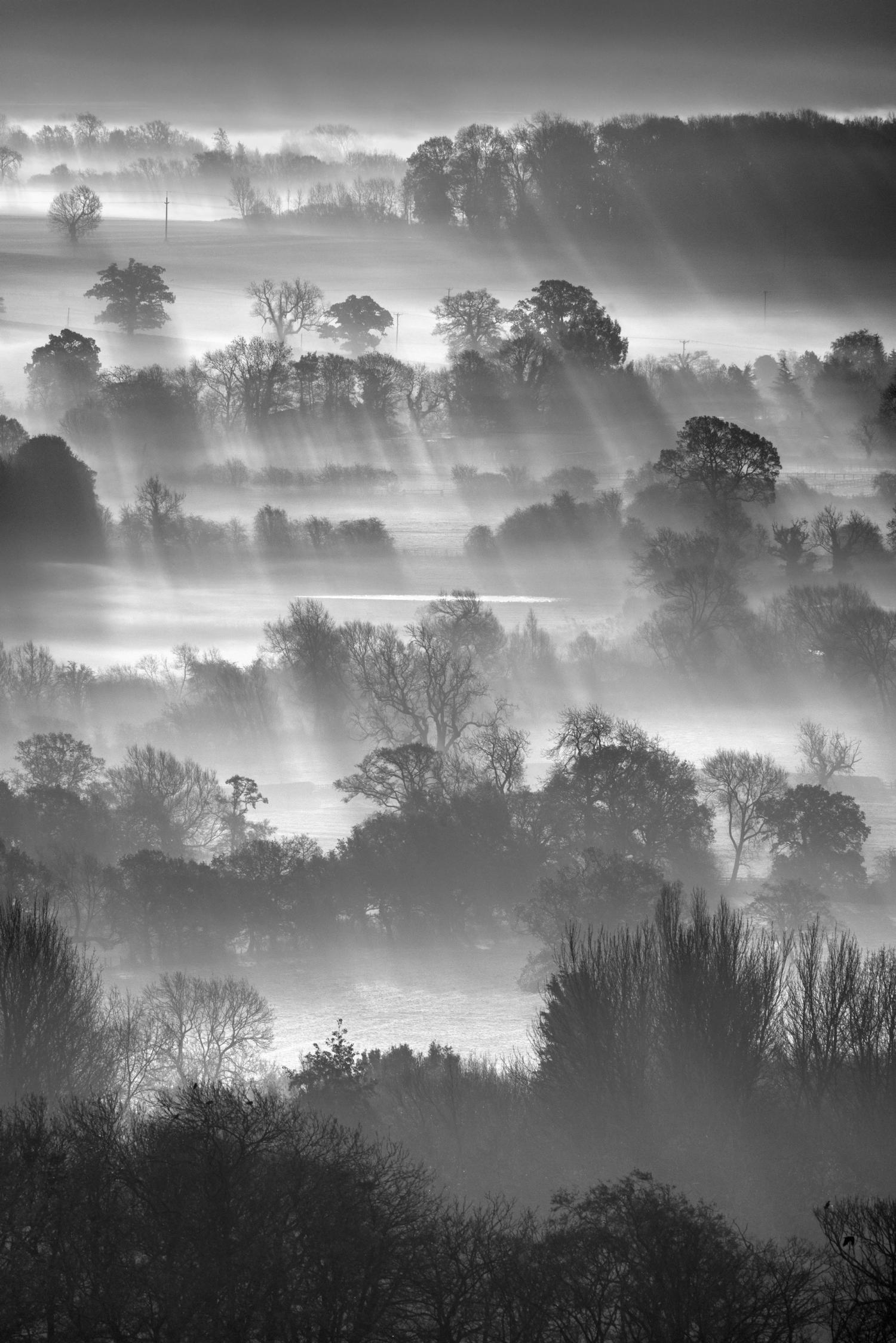 Wharfe Valle Mist