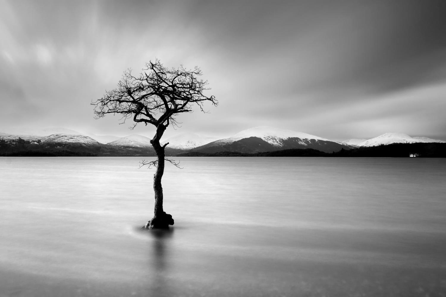 _MG_1886
