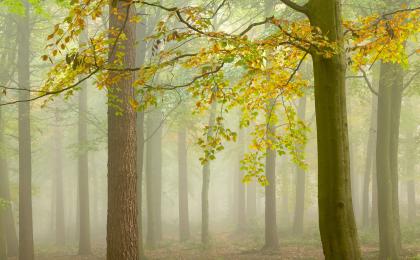 161A2498crop 161A2498crop