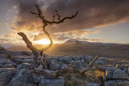 1R0A5461-HDR-Edit 1R0A5461-HDR-Edit
