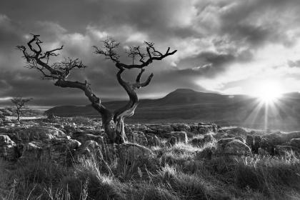 IMG_1096bw IMG_1096bw