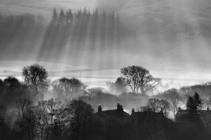 IMG_1689bw IMG_1689bw