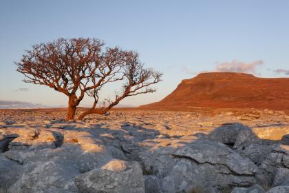 IMG_3312 IMG_3312