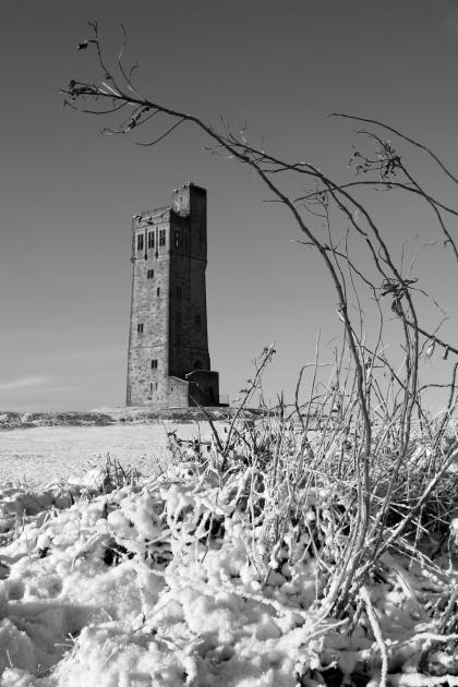 IMG_6626bw IMG_6626bw