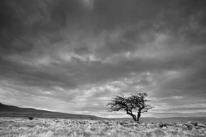 Twistleton Scars Twistleton Scars