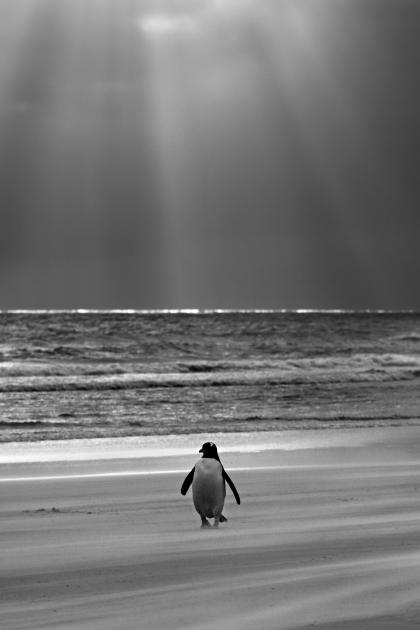 _MG_6134 _MG_6134