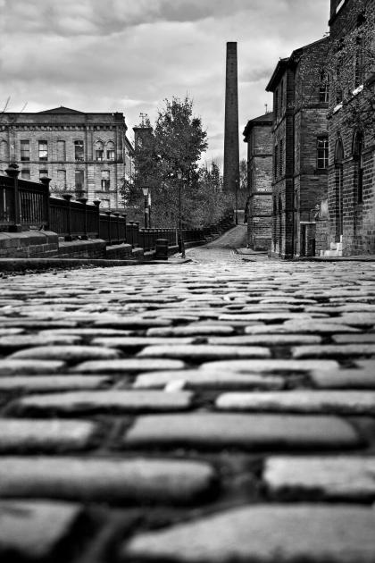 _MG_8709 _MG_8709