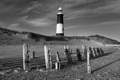 _MG_9394-2 _MG_9394-2