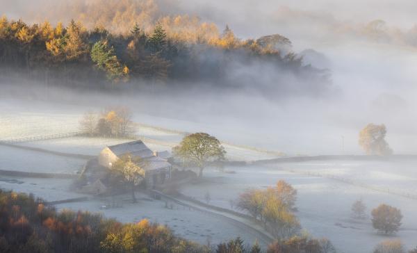 Martin Priestley Photography