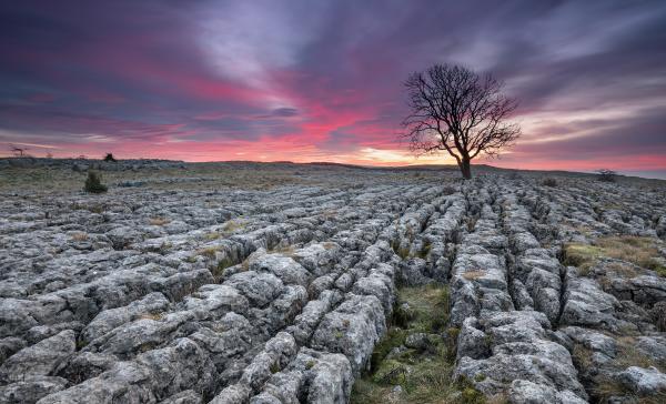 Martin Priestley Photography